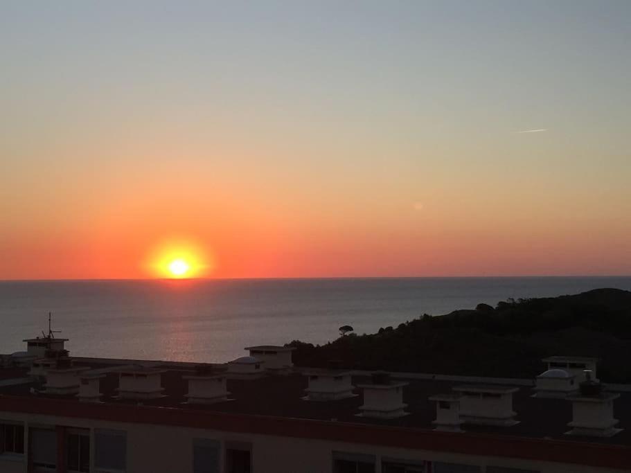 Appartement 4 Personnes, Vue Mer Exceptionnelle Banyuls-sur-Mer Extérieur photo